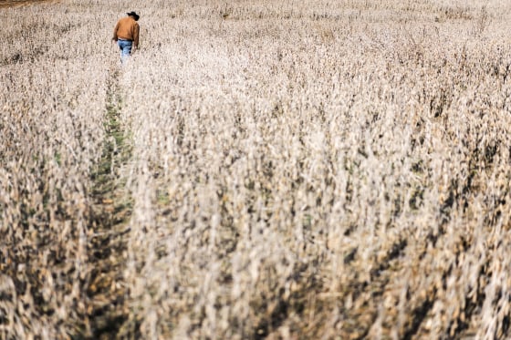 Image: Partial Government Shutdown - soybean subsidies