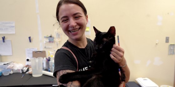 Cat missing in Florida condo collapse found alive, reunited with family
