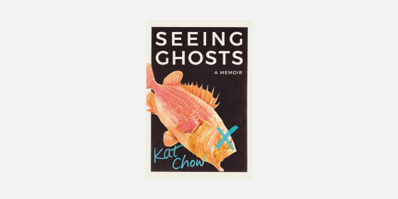 Image: \"Seeing Ghosts,\" by Kat Chow.