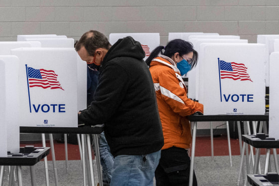 Image: Michigan vote