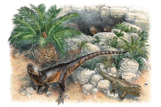 Pendraig milnerae was a small species of carnivorous dinosaur, living in what is now southern Wales.