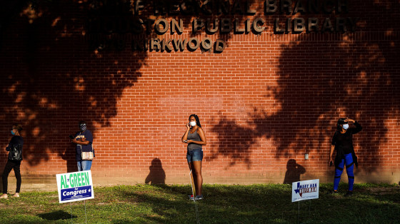 Image: People waiting in line to vote.