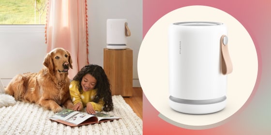 Molekule air purifiers are on sale this Black Friday 2021 Save up to 320