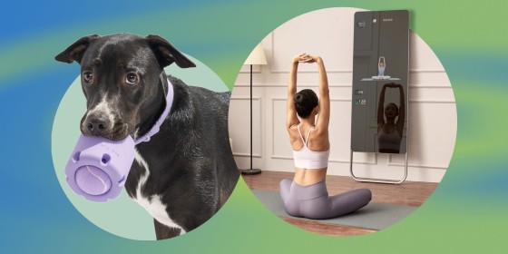 Dog holding a purple Wild One dog toy from Target-exclusives and a Woman stretching in front of a FITURE Mirror