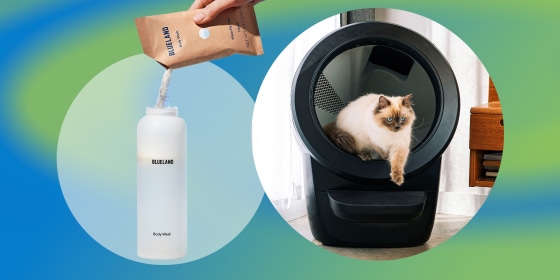 New releases include powder-based, refillable body wash from Blueland and a litter box from Whisker.