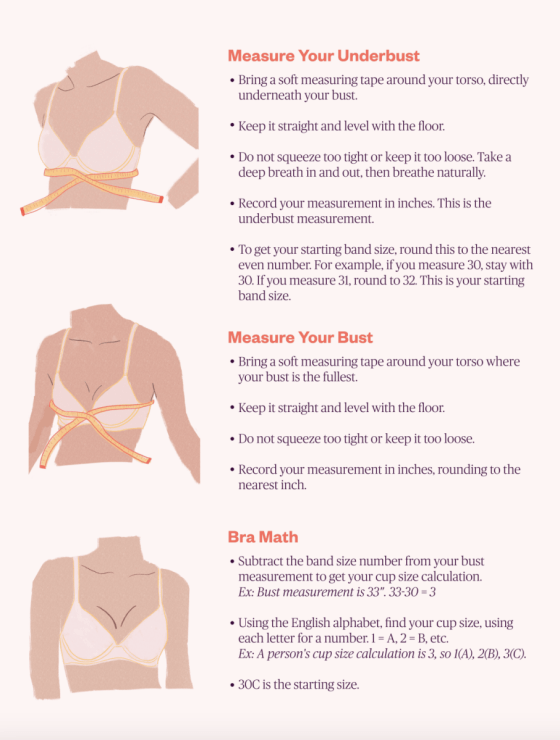 Find your perfect Bra Size  Perfect bra size, Perfect bra, Maidenform