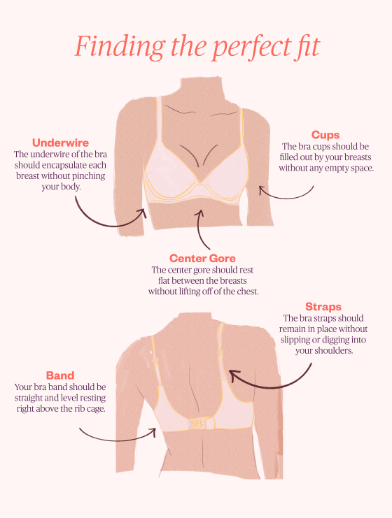 How to Find the Perfect Fitting T-Shirt Bra