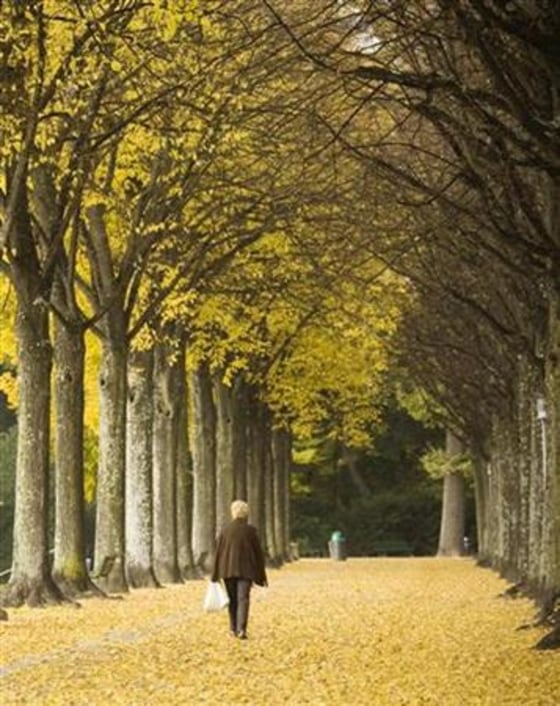 A woman walks during an autumn afternoon in a Lausanne park
