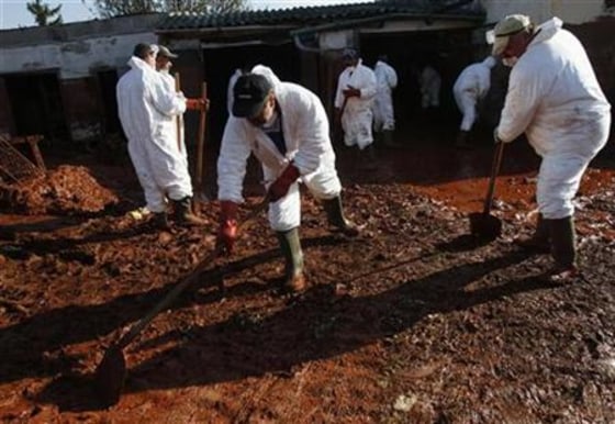 Locals attempt to remove toxic sludge in the flooded village of Kolontar
