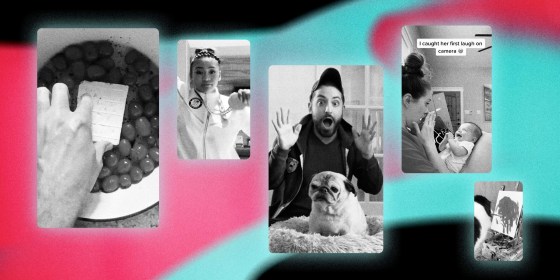 Illustration shows screengrabs from popular TikToks.