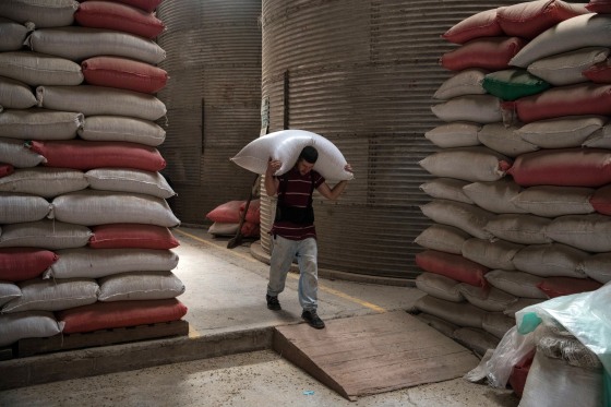 Image: A Coffee Farm and Processing Plant in Honduras