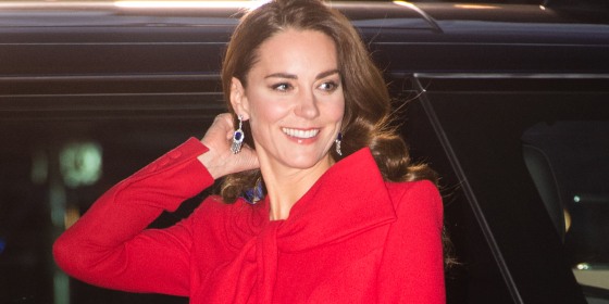 kate middleton christmas dress 70s RETRO A Line Dress Pattern Short Sleeves or Sleeveless Patch Pocke – A  Vintage shop