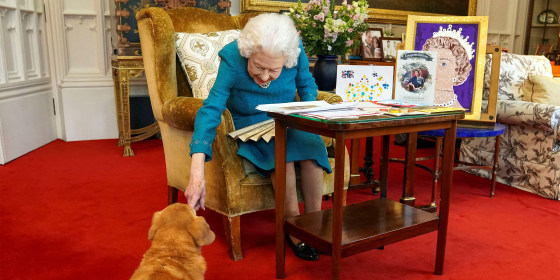 The queen's dog Candy.