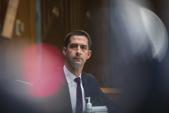 Image: Senator Tom Cotton