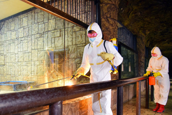 Image: NKOREA-HEALTH-VIRUS