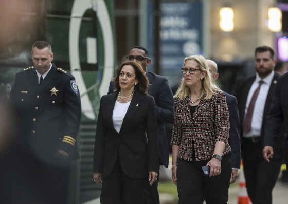 Image: Vice President Kamala Harris walks beside Highland Park Mayor, Nancy Rotering on July 5, 2022, in Highland Park, Ill.