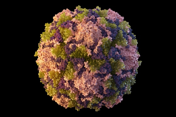 A 2014 illustration made available by the U.S. Centers for Disease Control and Prevention depicts a polio virus particle.