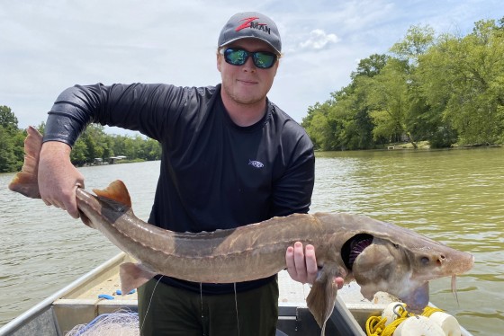 Research technician Hunter Rider of Opelika, Ala., holding a a lake sturgeon on the Coosa River at Rome, Ga., on July 14.