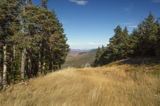 Image: Cannon Mountain