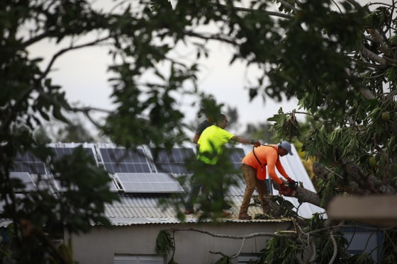 People remove downed trees in Puerto Rico