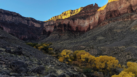 Fall colors at Havasupai Gardens, formerly Indian Garden, along Bright Angel Trail, 3,000 feet below the rim of the Grand Canyon.