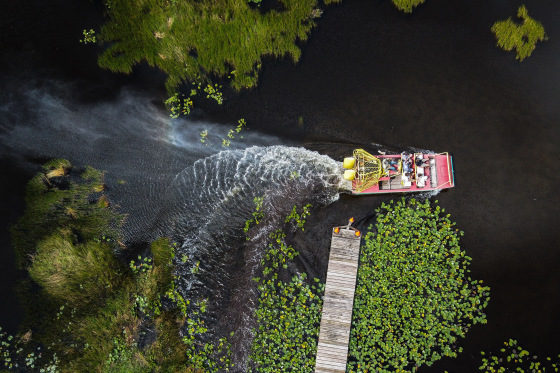 An airboat hovers over wetland in Everglades National Park, Fla., on Sept. 30, 2021.