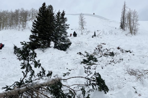 The aftermath of an avalanche at La Manga Pass, Colo., in an image local officials shared Monday.
