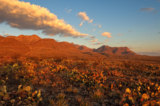 Castner Range at Sunrise