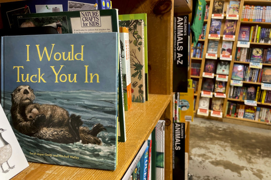 The children's book "I Would Tuck You In," illustrated by Mitchell Thomas Watley, at a bookstore in Portland, Ore., on April 5, 2023.