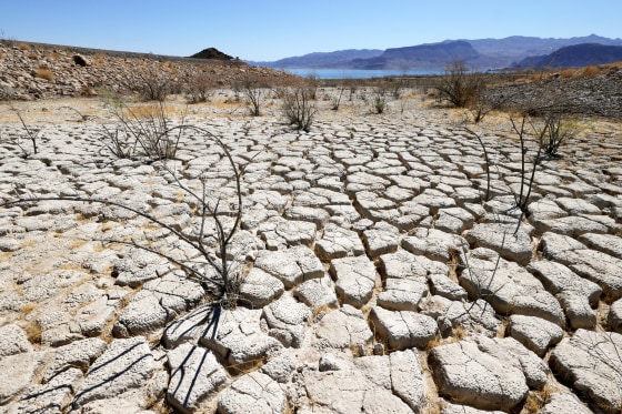 LAKE MEAD NATIONAL RECREATION AREA, NEVADA - JUNE 12: Lake Mead is seen in the distance behind mostly dead plants in an area of dry, cracked earth that used to be underwater near Boulder Beach on June 12, 2021 in the Lake Mead National Recreation Area, Nevada. This week, The U.S. Bureau of Reclamation reported that Lake Mead, North America's largest artificial reservoir, dropped to 1,071.53 feet above sea level, the lowest it's been since being filled in 1937 after the construction of the Hoover Dam. The declining water levels are a result of a nearly continuous drought for the past two decades coupled with increased water demands in the Southwestern United States. (Photo by Ethan Miller/Getty Images)