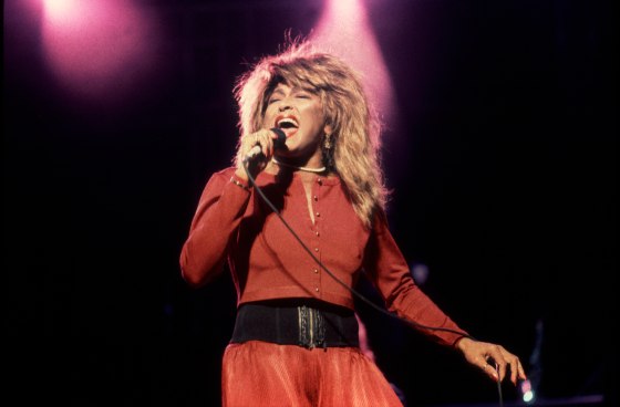 Tina Turner At The Poplar Creek Music Theater