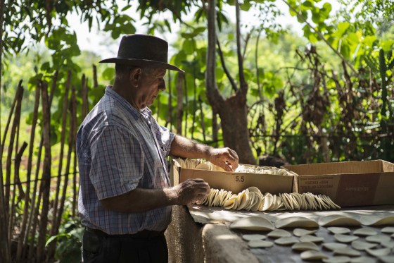 Casabe producer Julio Cesar Nunez collects freshly cooked casabe in Quivican, Cuba, on May 28, 2023.