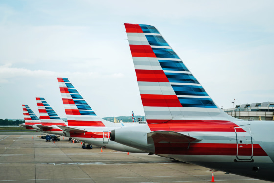 Tails of American Airline planes are seen as the planes sit parked at gates at Reagan National Airport on Thursday, April 27, 2023 in Arlington, Va.