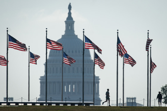 U.S. flags at the Washington Monument near the Capitol.