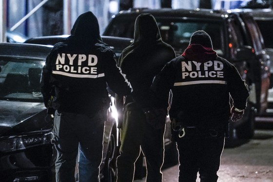 New York City police department officers escort a handcuffed suspect to a car during a raid in the Brooklyn N.Y