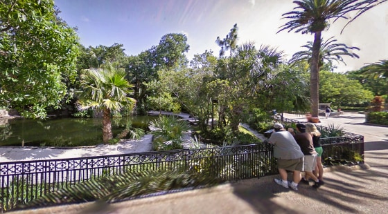 The Alligator Habitat at Busch Gardens in Tampa, Fla.