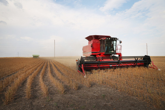U.S. Farm Earnings Drop 14.6 Percent In Third Quarter AFter A Decline In Output