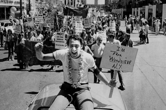 Harvey Milk at the Gay Pride Parade