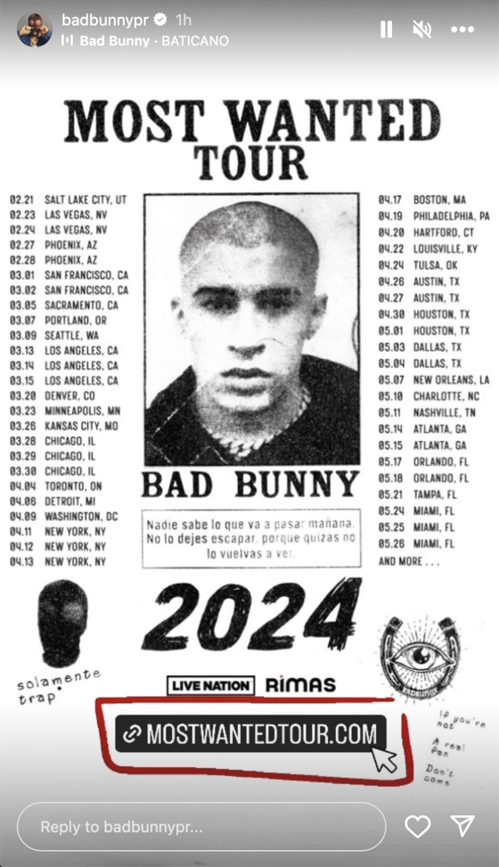 Houston Texas Baseball Bad Bunny PNG File Digital Download 