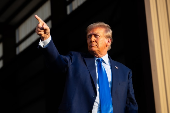 Image: Donald Trump Campaigns For President In Houston, Texas