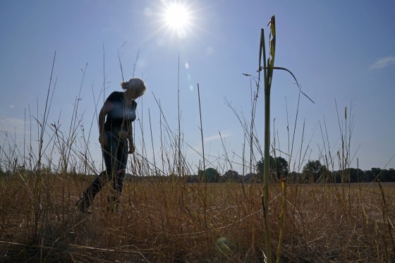 Gilda Jackson walks on a pasture where she grows hay in Paradise, Texas, Aug. 21, 2023.