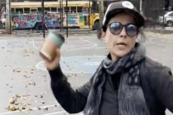 Hadasa Karavanibozak at a playground in Fort Greene, N.Y.