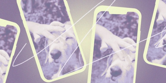 Phone screens showing childs hand petting dog