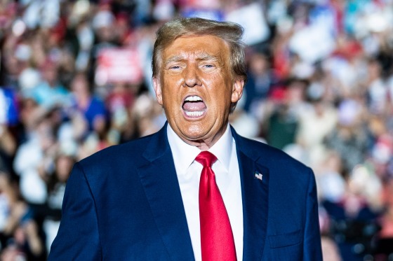 Donald Trump speaks at a campaign rally.