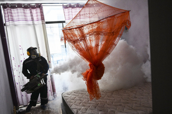 A worker fumigates a house.