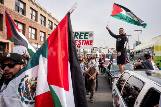 Palestinian protestors in Los Angeles