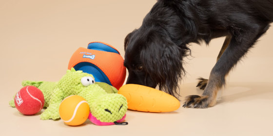 21 Best Dog Toys of 2024 NBC Select