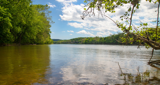 Father and Son Drown in Virginia's Lake Anna After Dad's Rescue Attempt