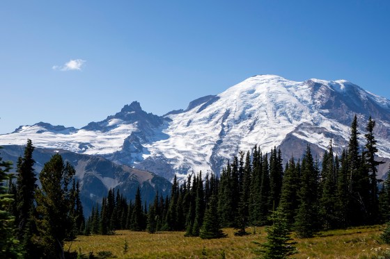 Mount Rainier National Park