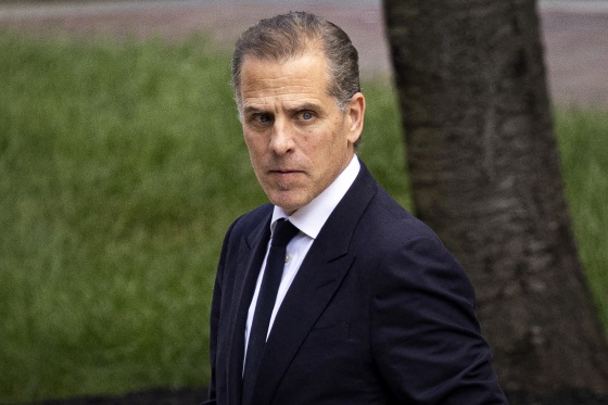 Some lawmakers say Hunter Biden gun charge should be prosecuted more often